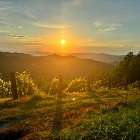 1929 Wine Food Relax Agriturismo 아키테르메 외부 사진