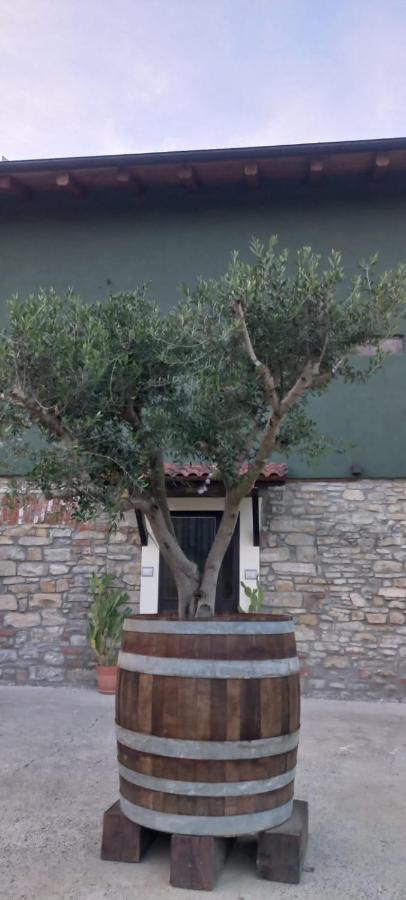 1929 Wine Food Relax Agriturismo 아키테르메 외부 사진