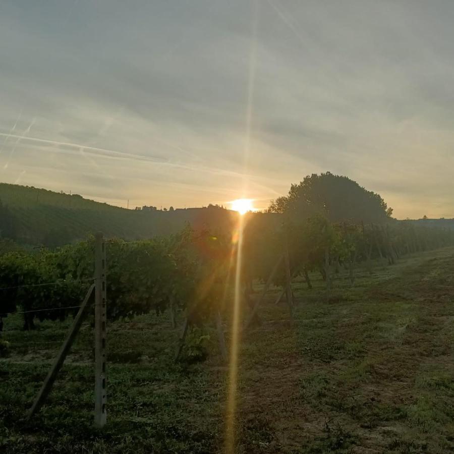 1929 Wine Food Relax Agriturismo 아키테르메 외부 사진