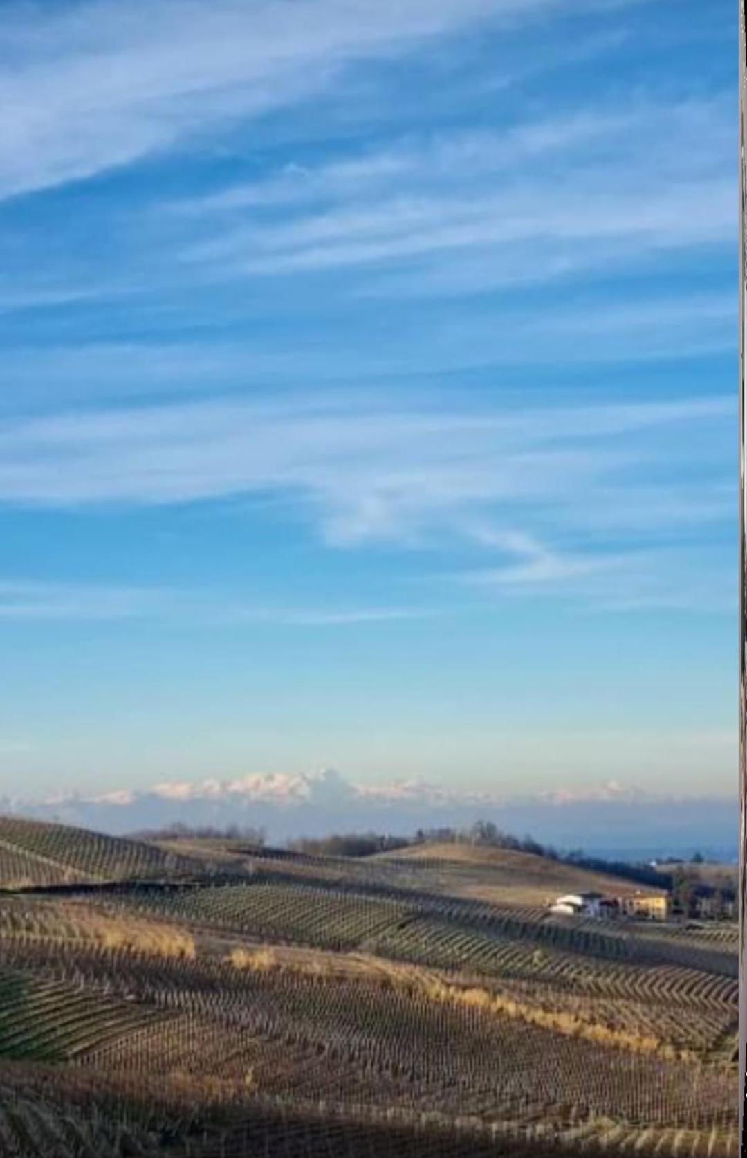 1929 Wine Food Relax Agriturismo 아키테르메 외부 사진