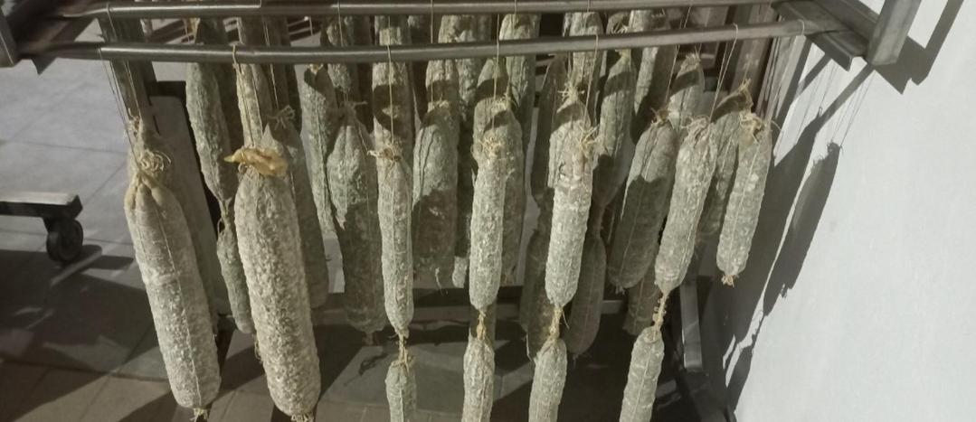 1929 Wine Food Relax Agriturismo 아키테르메 외부 사진