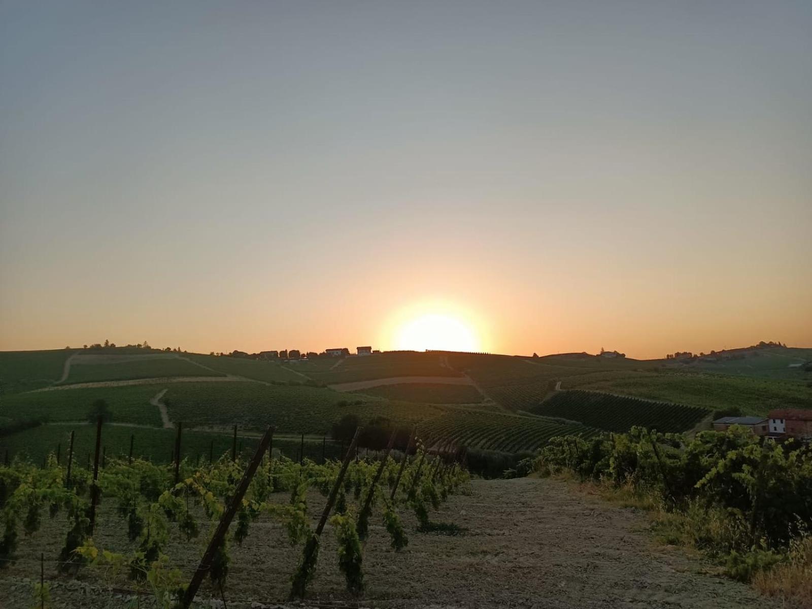 1929 Wine Food Relax Agriturismo 아키테르메 외부 사진