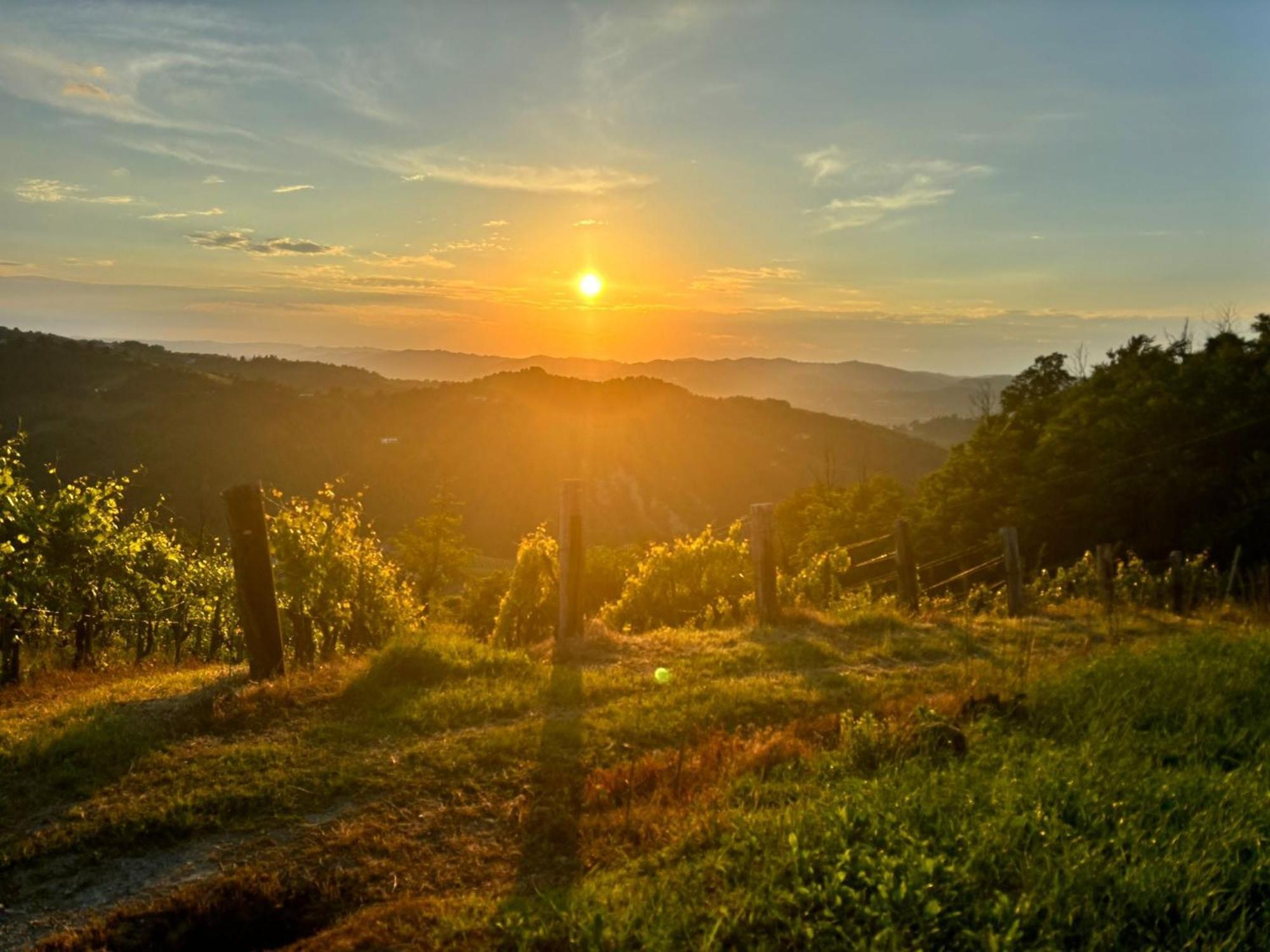 1929 Wine Food Relax Agriturismo 아키테르메 외부 사진